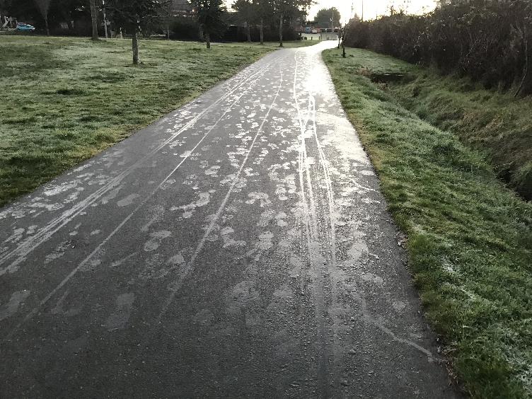 Heavy dew in Saanich, BC, Canada.